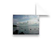 collage image title