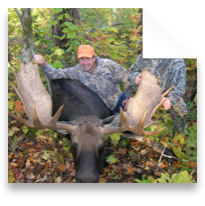 collage image title