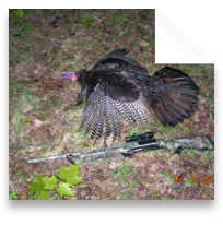 collage image title